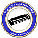 Harmonica Pin