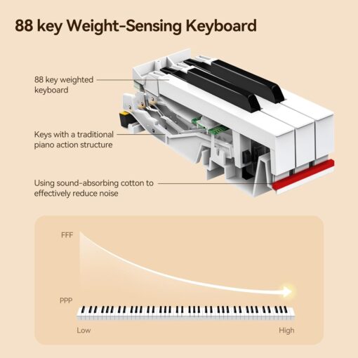 Terence Electric 88 Key Piano keyboard - Image 2