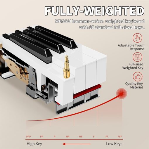 Wencai 88 Key Fully Weighted Digital Piano Keyboard - Image 2