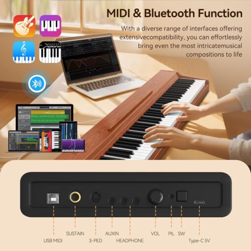 Terence Electric 88 Key Piano keyboard - Image 3